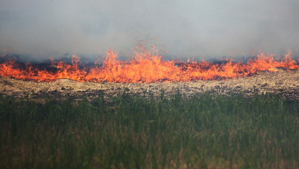 Fototapeta na wymiar Dry forest and steppe fires completely destroy fields and steppes during severe drought. Disaster causes regular damage to the nature and economy of the region. Field Lights Farmer Burns Straw
