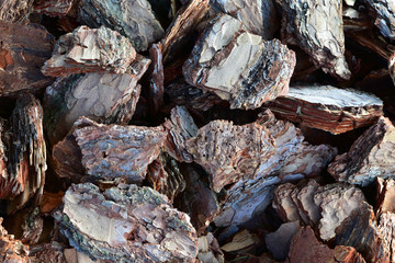Large pieces of bark. Close-up. Texture.