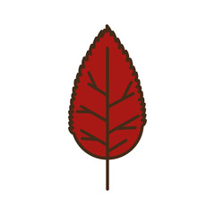 autumn leaf plant seasonal isolated icon