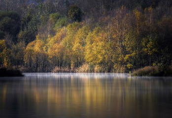 Autumn Forest Reflected in the Placid Waters of a Lagoon