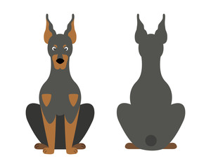 Vector illustration of funny cartoon dogs breeds set. Doberman Pinscher.