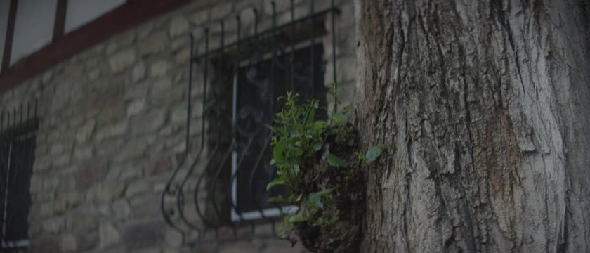 old stone building with a tree in the front - altes Steingeb&auml;ude mit einem Baum im Vordergrund