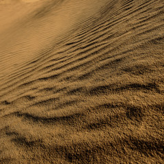 Sand surface in the dunes at sunset.