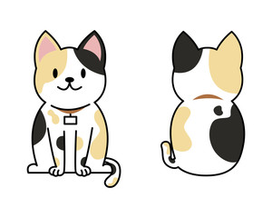 Fototapeta premium Vector illustration of funny cartoon Exortic Short Hair breeds set.