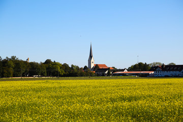 Feldmochinger church tower with rape field