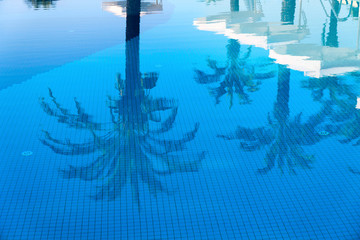 Swimming pool with palms reflections
