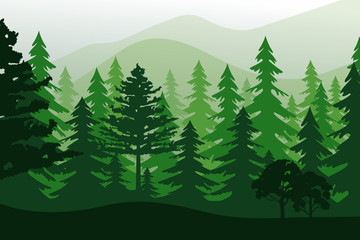 Fototapeta premium Vector landscape with green forest isolated.