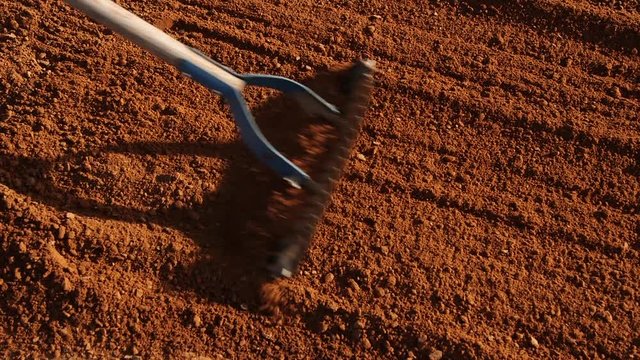Raking Infield Dirt in Baseball Field Early Morning