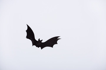 black paper bat on white background
