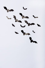 black paper bast on white background