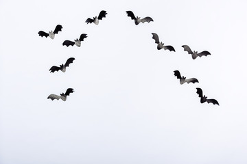 decorative bats on white background