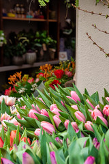 tulips on sale in a florist shop