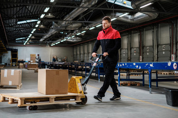 Obraz premium Warehouse worker with a pallet rack