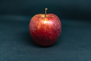 studio photo essay with an ART 50mm F1.4 sigma mounted on a Nikon D850