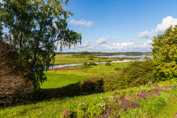 Naklejka premium landscape with river and trees