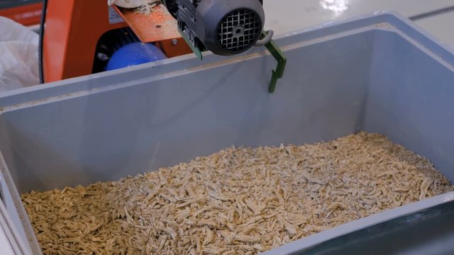 Close up view - pet food grain mill machine: mixed feed production line at factory, plant, exhibition, trade show. Farming, technology equipment, agriculture industry, animal husbandry concept