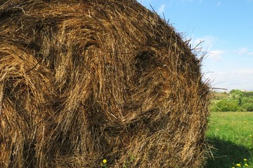 bale of straw in a field