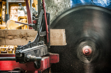 Vintage industrial sawblade cutting through board