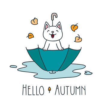 Hello autumn. Doodle illustration of happy white cat sitting in the umbrella isolated on white background. Vector 8 EPS