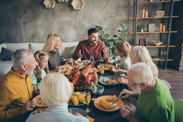 Portrait of nice charming cheerful big full family company group brother sister talking meeting...