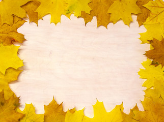 Naklejka na ściany i meble Frame of yellow autumn leaves on a white background