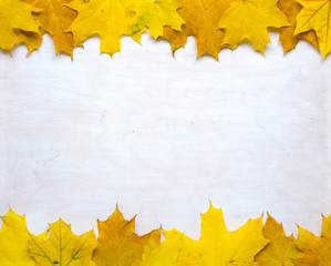 Naklejka na ściany i meble Frame of yellow autumn leaves on a white background