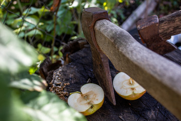 Ax and apple. The concept of the garden.