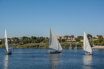 Paseo en feluca