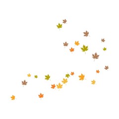 oak leaf background