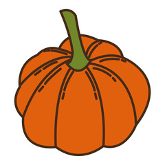autumn pumpkin fruit seasonal isolated icon