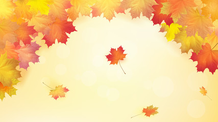 Naklejka na ściany i meble Autumn maple leafs on autumn background. Vector
