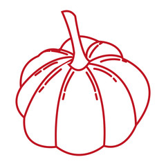 autumn pumpkin fruit seasonal isolated icon