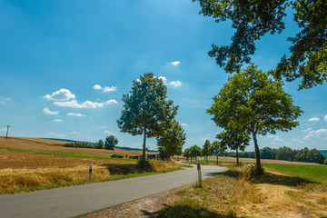 Fototapeta premium road in the countryside