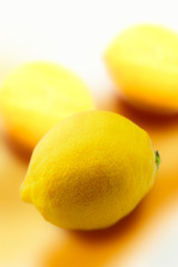 lemons on white background