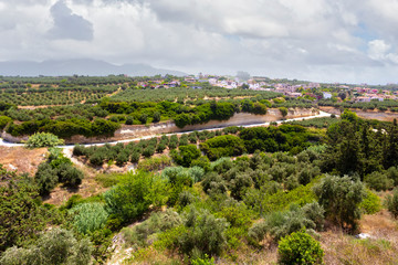 Obraz na płótnie Canvas Landscape of Crete island in Greece. Olive tree groves, hills and fields.