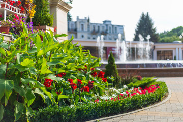 Kislovodsk city. Mineralnye Vody resort. Stavropol region. Russia