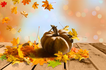 Still life harvest with pumpkins and leaves