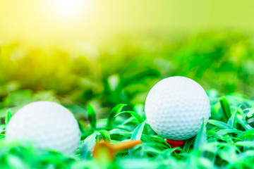 golf ball and tee on green grass backgrounds
