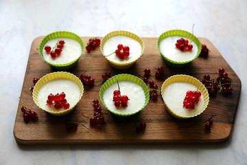 Italian dessert panna cotta with fresh red currants served in silicon molds form on wooden tray and white background.