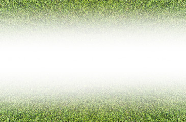 Gradient green grass background. Nature concept. Field with empty white copy space 