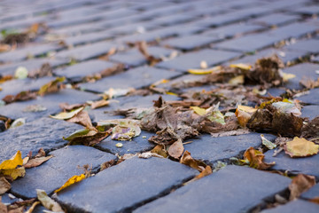 Background or texture from an old paving stones with yellowing autumn, fallen leaves on the road.