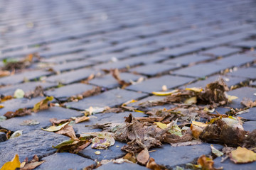 Background or texture from an old paving stones with yellowing autumn, fallen leaves on the road.