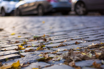 Background or texture from an old paving stones with yellowing autumn, fallen leaves on the road.