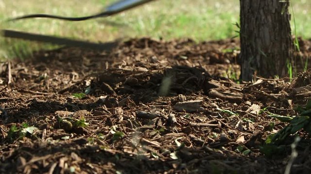 Shoveling Mulch Close Up Outdoors