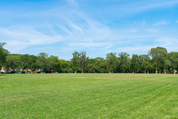 Wide Open Space at Vernon Park in University Village in Chicago during Summer