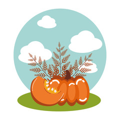 pumpkins of autumn with branches leafs