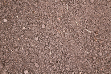 Soil in the garden. Close-up. Top view. Background. Texture.