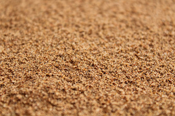 Fototapeta na wymiar Sand. Close-up. Blurred background. Texture.