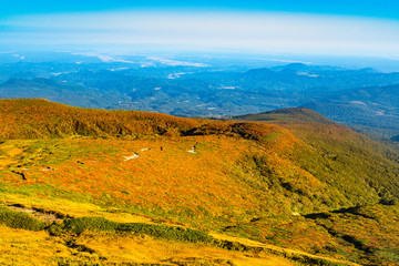 Naklejka premium 栗駒山紅葉神の絨毯