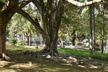 Parque público com grandes árvores e gramado para caminhadas e lazer, no interior de São Paulo, Brasil